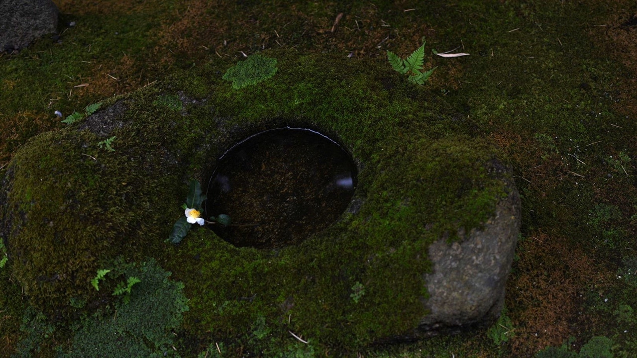 「動」の状態をより良くするための「静」という観点