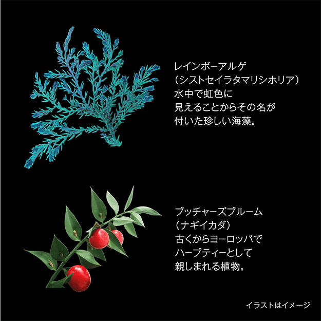 これまで数多く誕生したB.A独自の処方技術