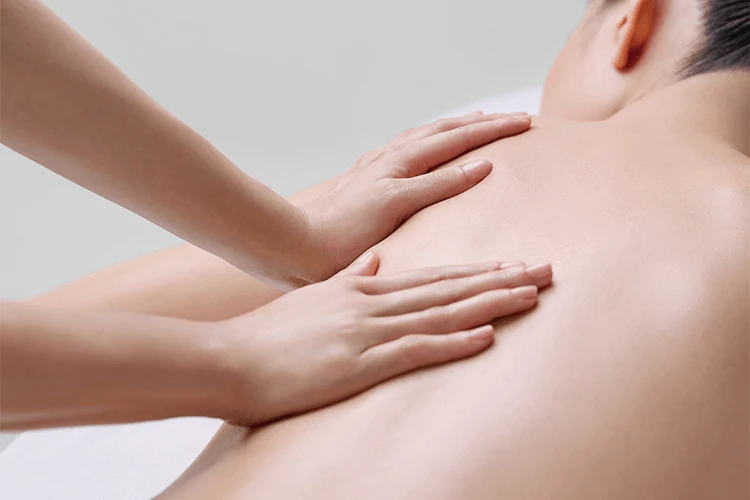 ボディメニュー