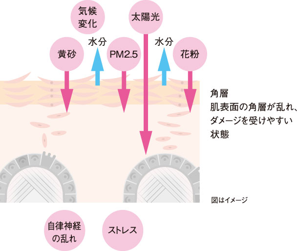 春の肌とからだに影響するもの