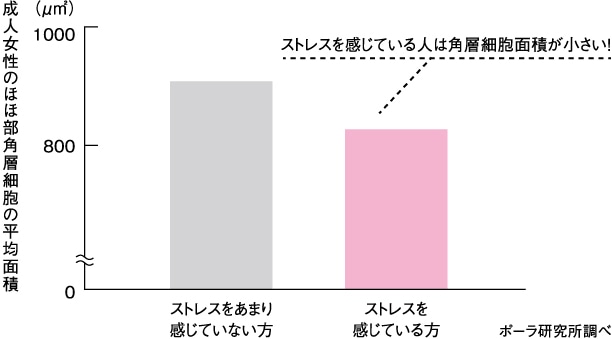 ストレスの蓄積も肌ゆらぎの要因に。