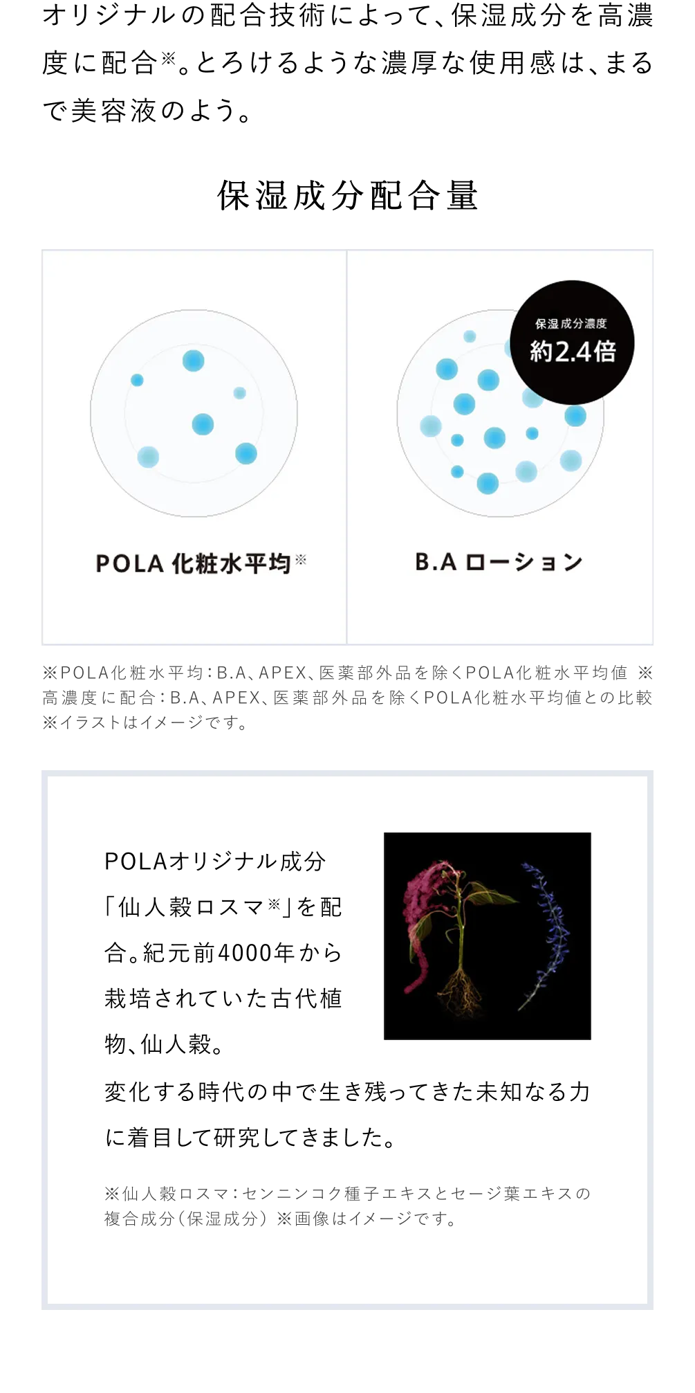 保湿成分配合量の比較図。POLA化粧水平均とB.Aローションを対比。B.Aローションは保湿成分濃度が約2.4倍。仙人穀ロスマの植物画像とその説明文。