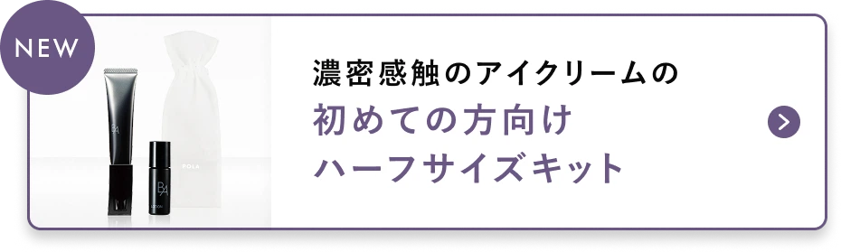 濃密感触のアイクリームの初めての方向けハーフサイズキット