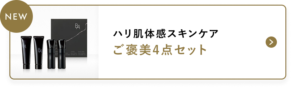 ベーシックセット