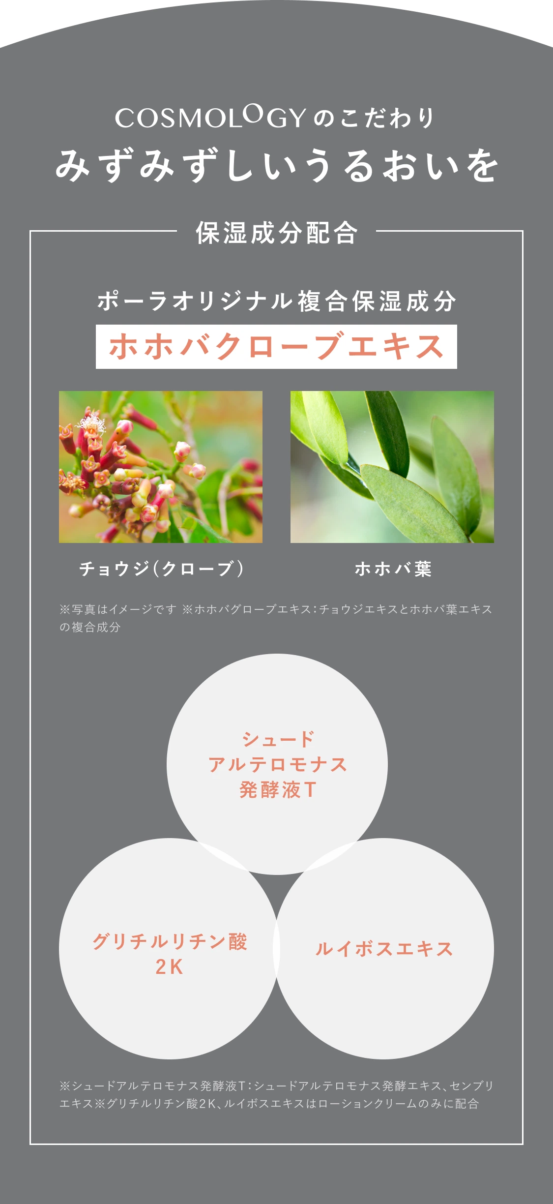 COSMOLOGYのこだわり みずみずしいうるおいを　保湿成分配合 ポーラオリジナル複合保湿成分ホホバクローブエキス