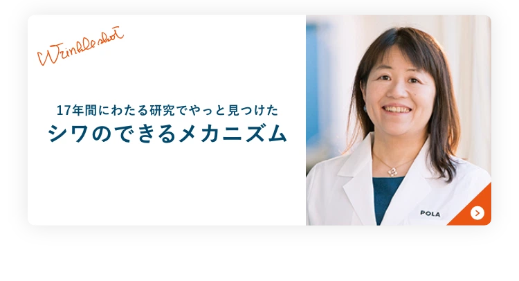 17年間にわたる研究でやっと見つけたシワのできるメカニズム