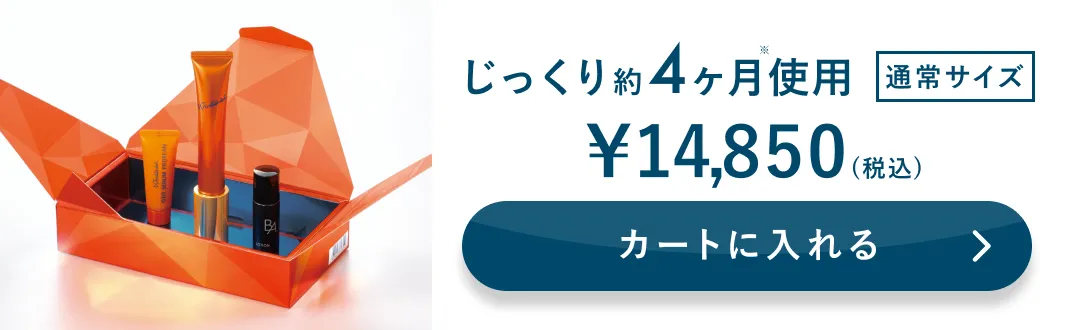 じっくり約4ヶ月使用 通常サイズ 詳細はこちら