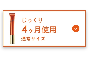 じっくり4ヶ月使用 通常サイズ