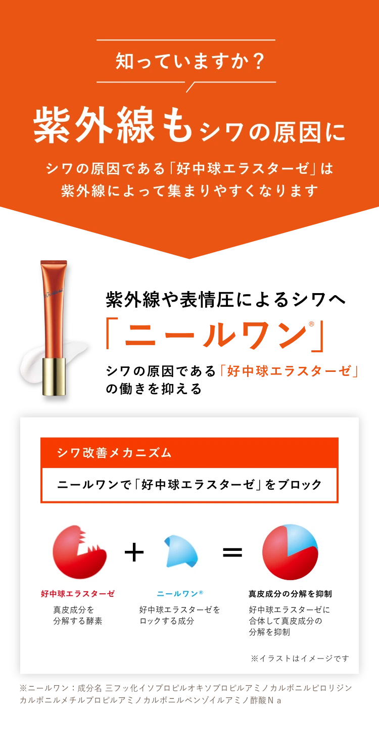 リンクルショット メディカル セラム Nはシワの原因である「好中球エラスターゼ」の働きを抑える「ニールワン」を配合