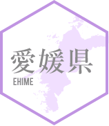 愛媛県