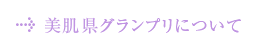 美肌県グランプリについて