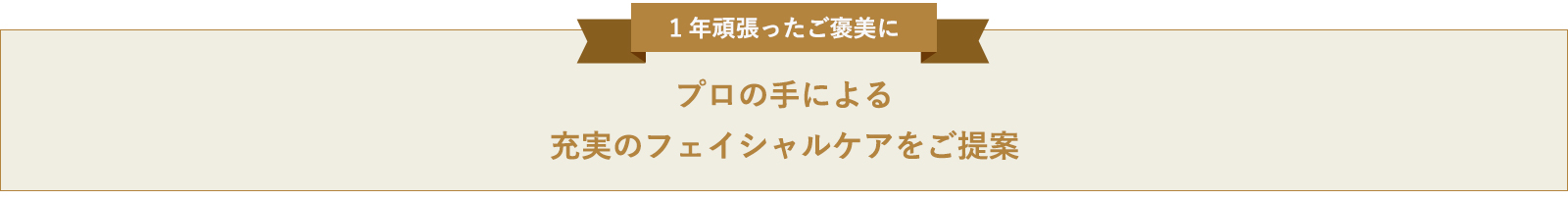 プロの手による充実のフェイシャルケアをご提案