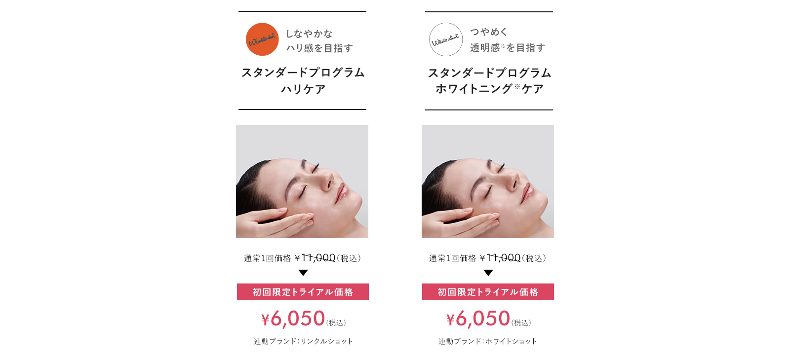 スタンダードプログラム