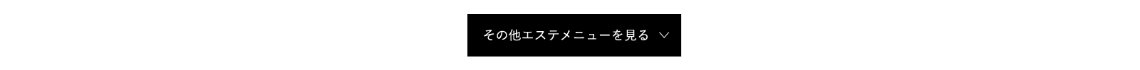 その他エステメニューを見る