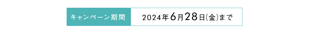 キャンペーン期間
