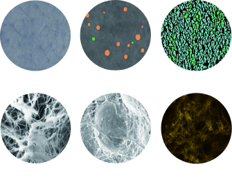 今の肌と未来の肌の可能性まで見えてくる