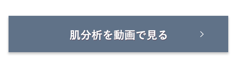 肌分析を動画で見る