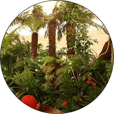 PLANTS & MUSIC