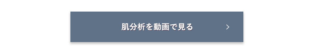 肌分析を動画で見る