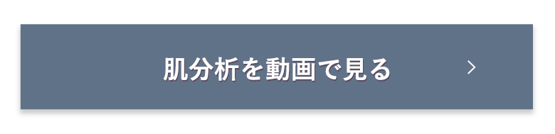 肌分析を動画で見る