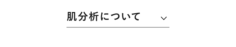 肌分析について