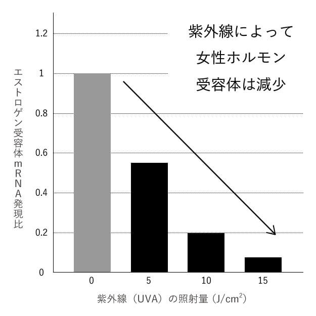 美肌の鍵は、ホルモン量だけでなく、 ホルモンの「めぐり」と「活用力」にありました。