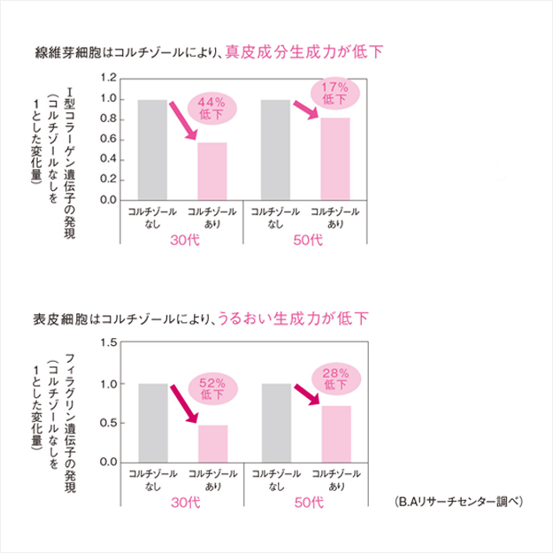 コルチゾールの影響は年代別
