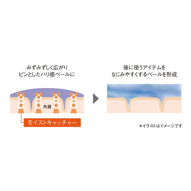 ベール設計