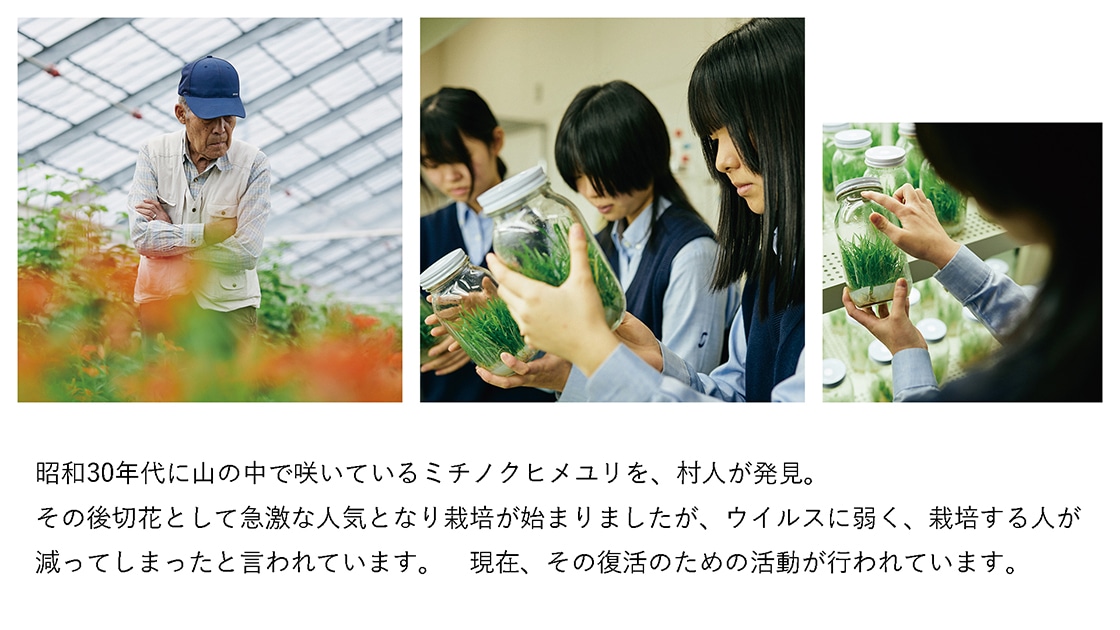 はじまりは、故郷の花を想う高校生たちの活動でした。