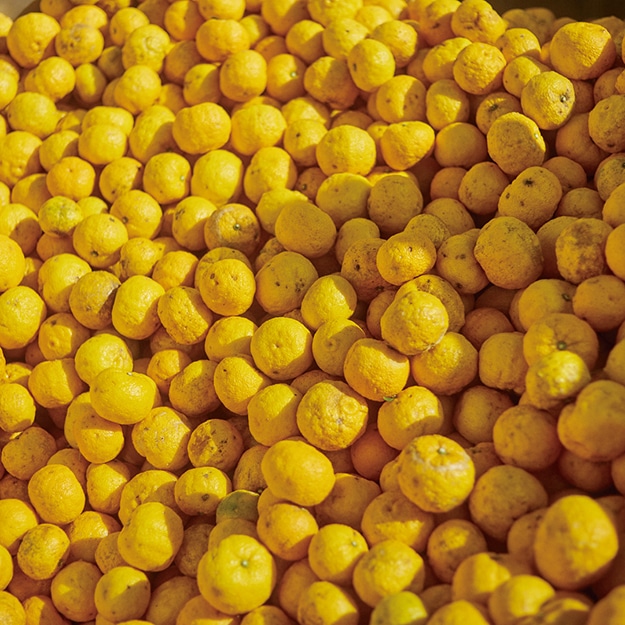 高知県の清流のほとりに実るゆず。捨てられていた部分で、美しさをつくりだす。