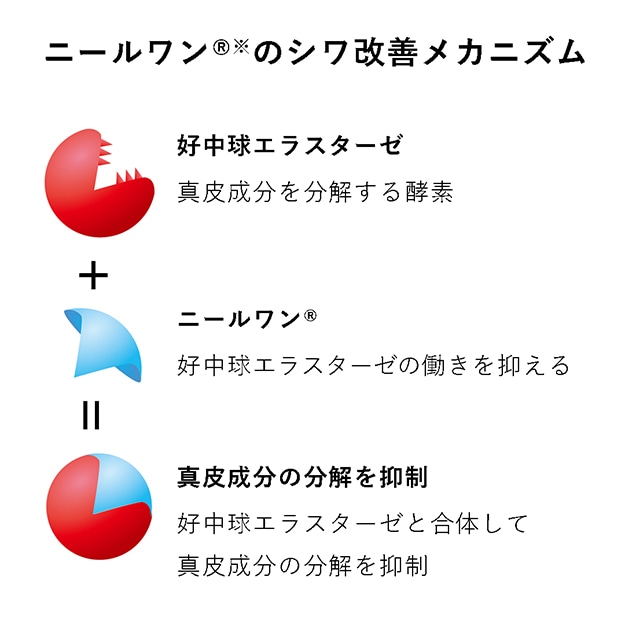 ニールワン