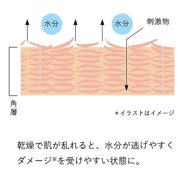 紫外線量が増える夏は、エモリエントの重要性が増す季節。