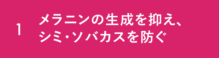 1 メラニンの生成を抑え、シミ・ソバカスを防ぐ