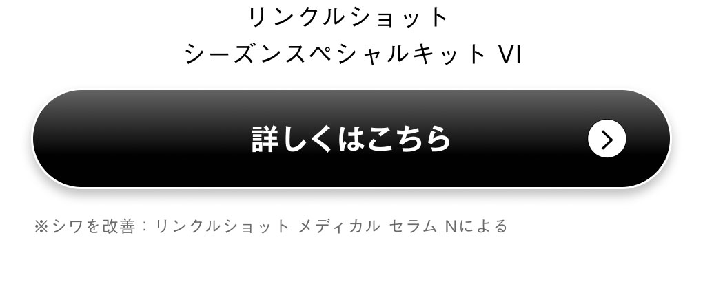 リンクルショット シーズンスペシャルキット VI 詳細を見る