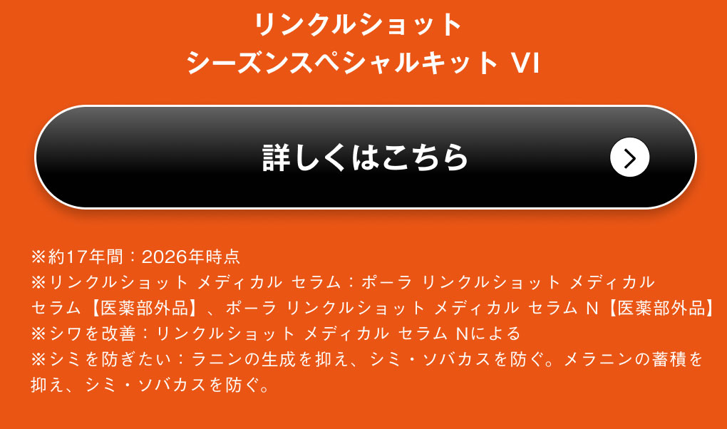 リンクルショット シーズンスペシャルキット VI 詳細を見る