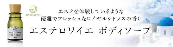 エステロワイエ ボディソープ