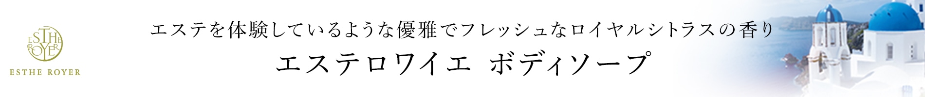 エステロワイエ ボディソープ