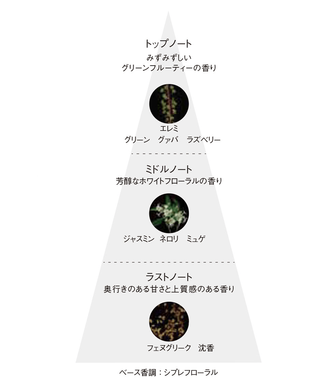 ポーラ第六世代BAクレジングクリーム&BAウォッシュ50包ずつ