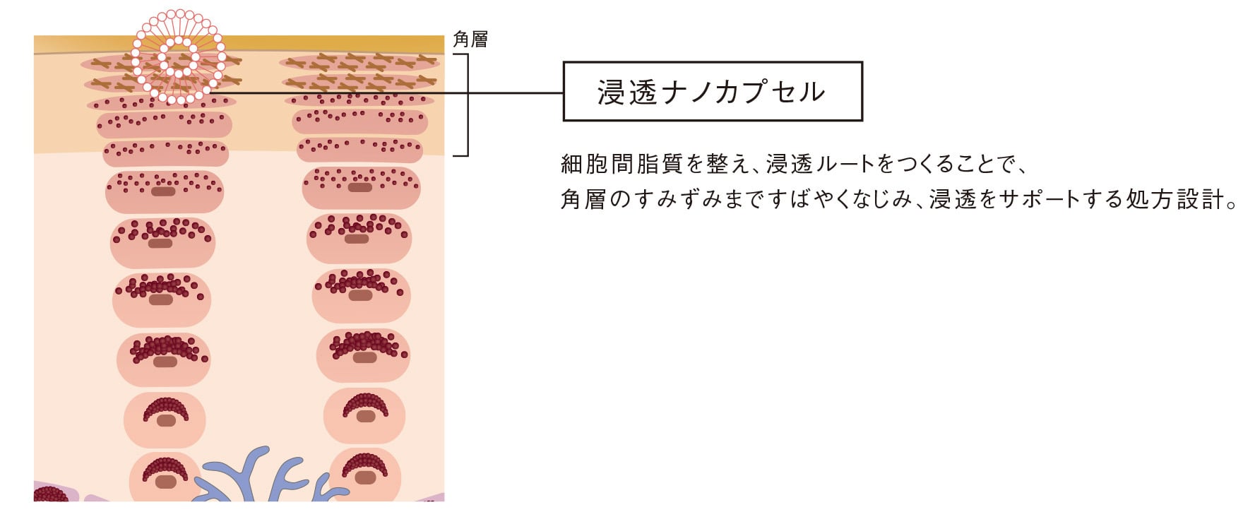 【新品未使用】POLA ホワイトショット CXS N 25ml