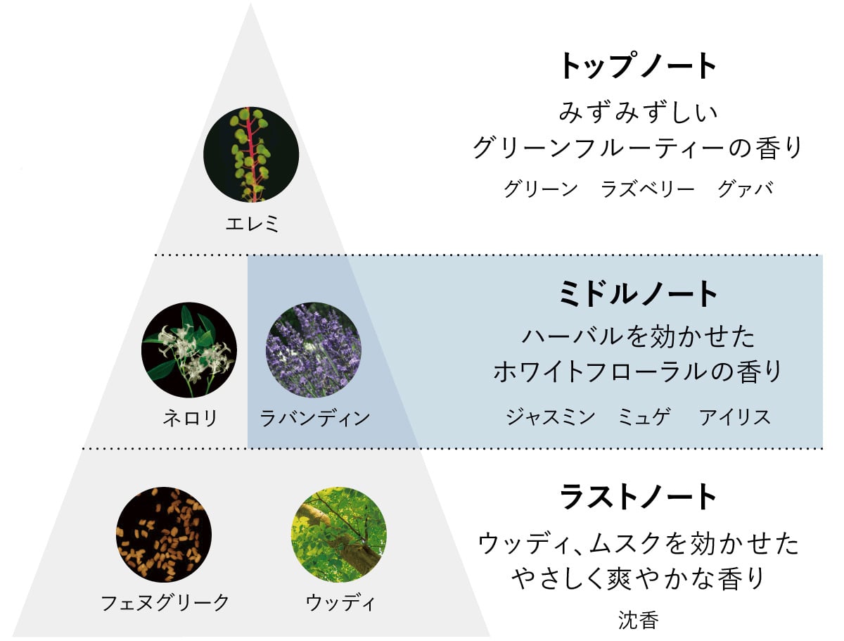 B.A ミルク フォーム: 商品詳細 | ポーラ公式 エイジングケアと美白