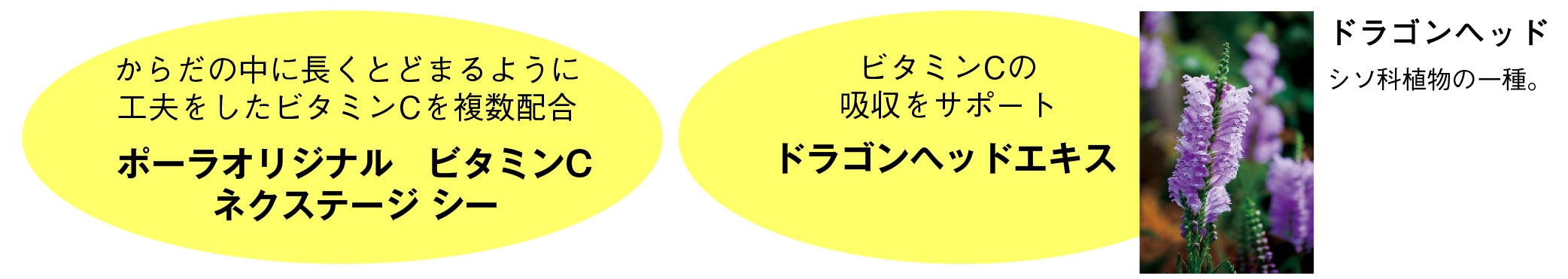 POLA ポーラ ネクステージC 2.3g x 90包食品/飲料/酒 - ビタミン