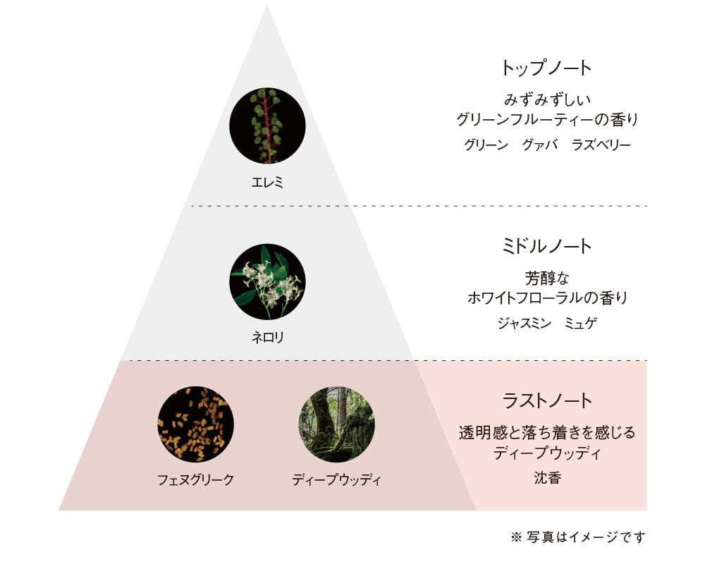 華やかでやすらぐ香りでお手入れの時間を自分をいつくしむ時間に