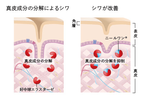 初めての方向けリンクルショット トライアルキット M: 商品詳細