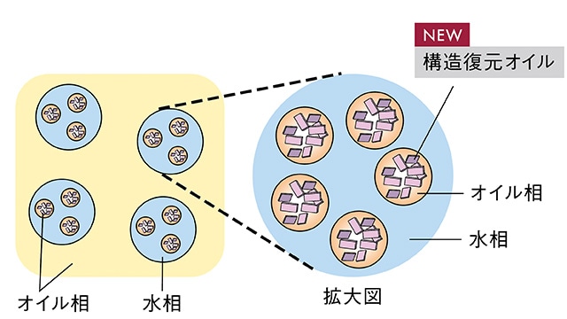 3Dアイバンテージ処方