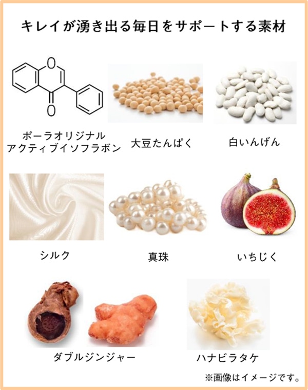 【POLA】キレイのシルキーソイ　お徳用90袋　賞味期限2023.12.28