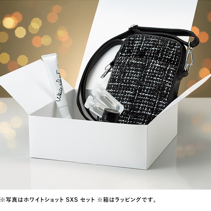 ホリデイキット 2023 ホワイトショット SXS セット