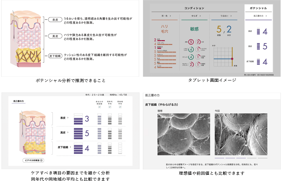 ポーラ アペックス エマルション