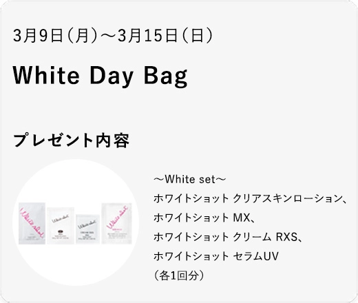 White Day Bag