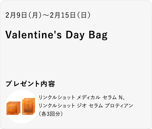 Valentine's Day Bag