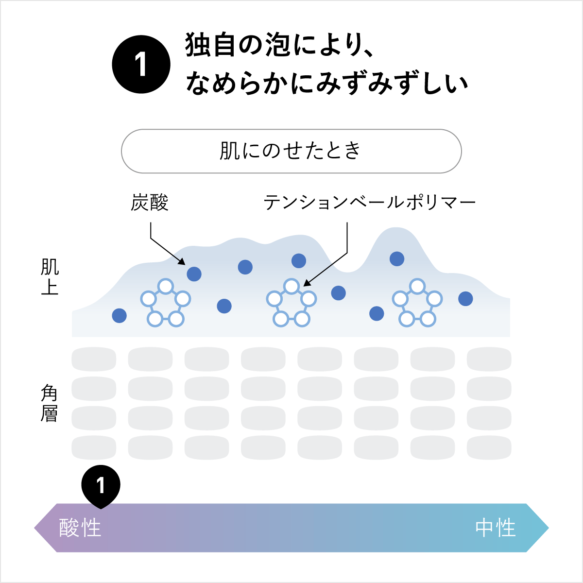 B.A ミルク フォーム | ポーラ公式 エイジングケアと美白・化粧品